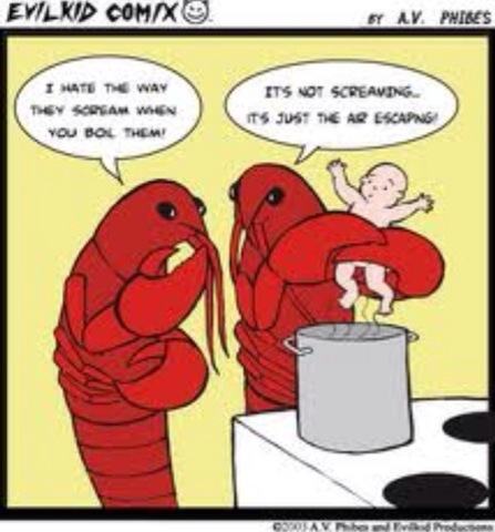 Lobsters do feel pain? Oh. Ummm… well sorry for all the boiling alive  guys…” | Are there chicken sheds in heaven?